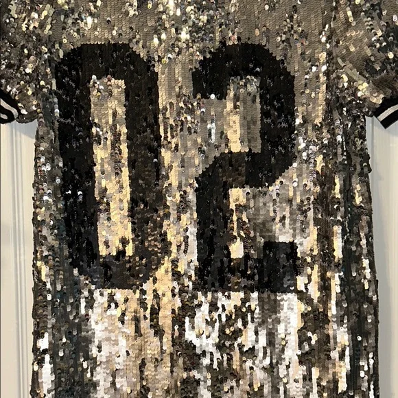 True Religion Silver Sequin Dress with Black Detail - Picture 11 of 11